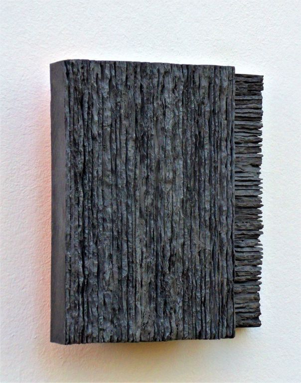 RUST (6) (1) (1) (1)